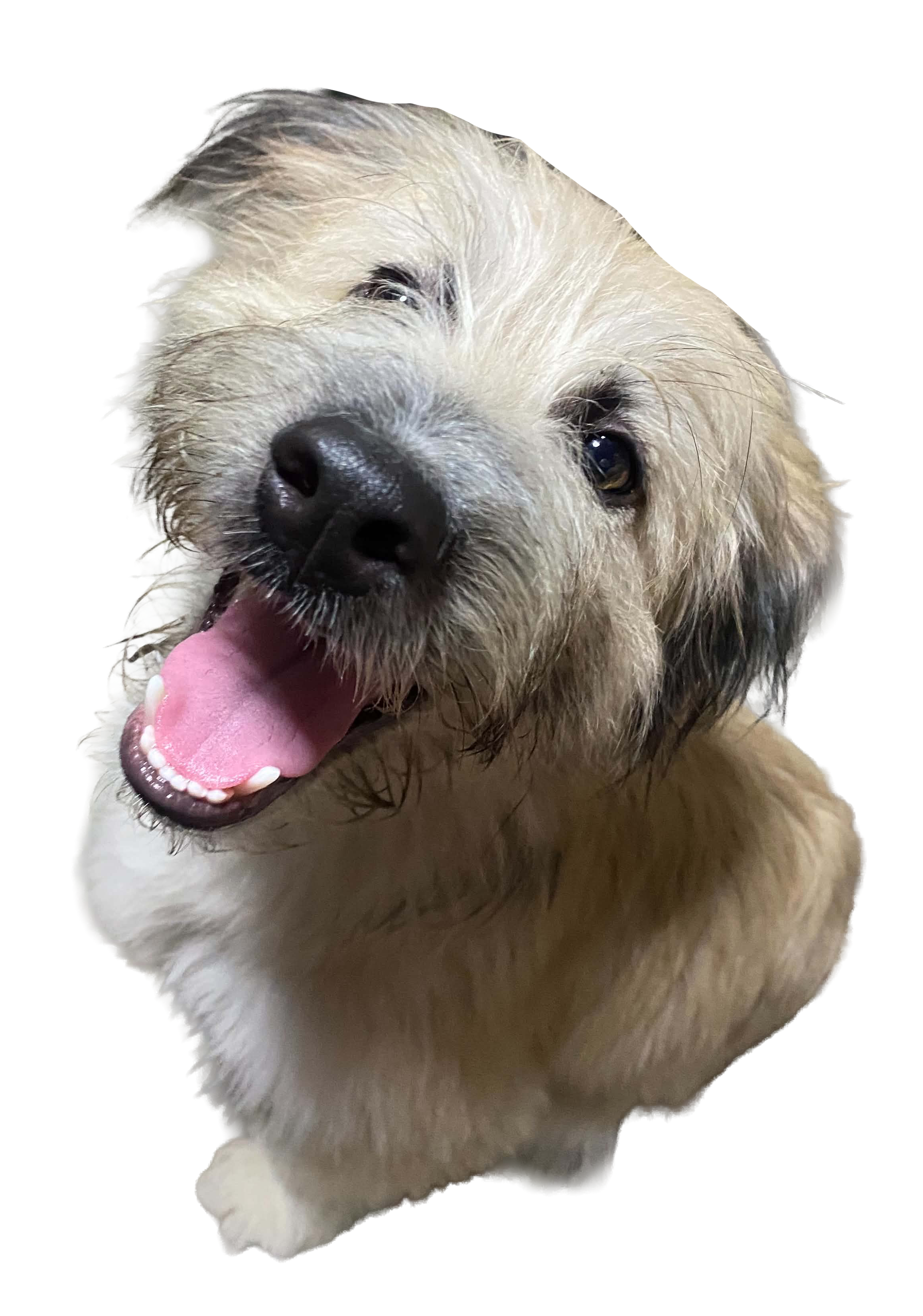 Sticker 8