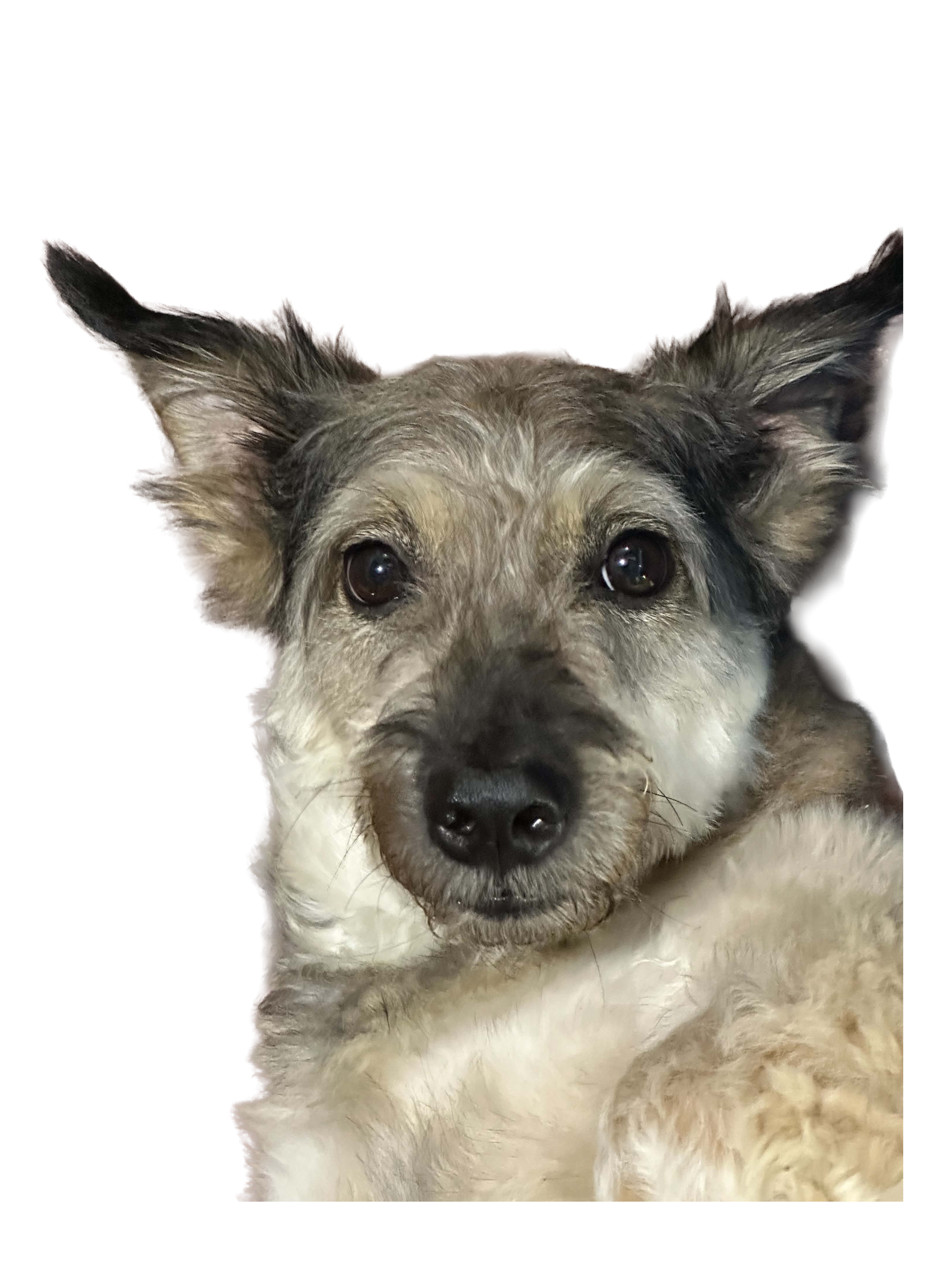 Sticker 9