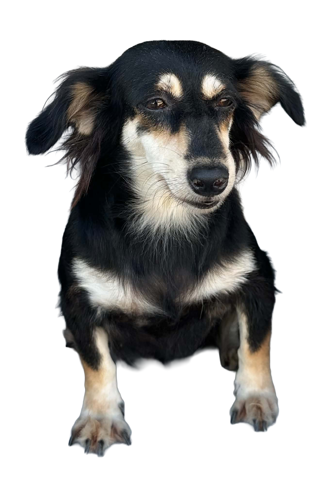 Sticker 10